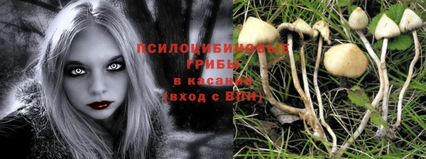 гашик Рославль