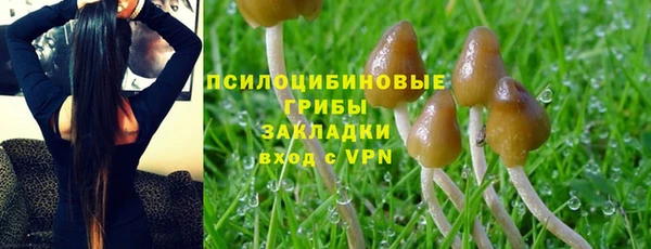 гашик Рославль